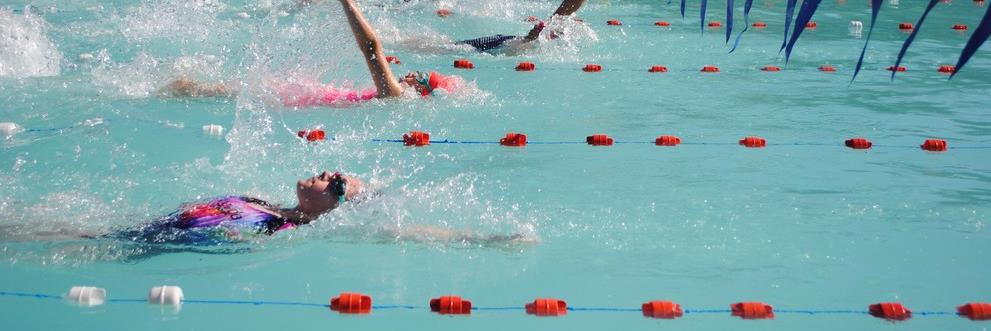 03-header 03-header